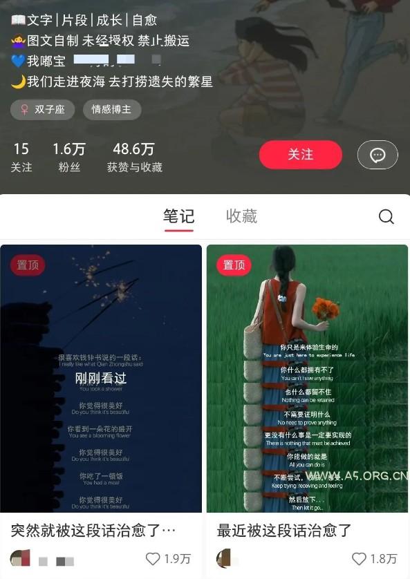 小红书治愈文案图文笔记，零门槛，一分钟制作轻松制作爆款作品月入万元 - A5资源网