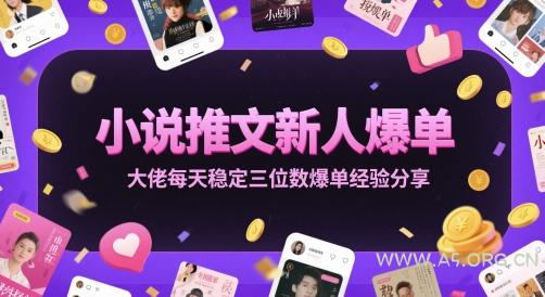 小说推文新人爆单大佬每天稳定三位数爆单经验分享-A5资源网