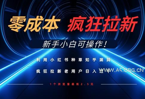 利用小红书种草知乎漏洞，零成本疯狂拉新日入数张，新手小白可操作-A5资源网