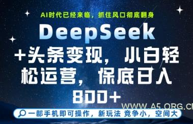 DeepSeek+头条变现，保姆级教学，小白轻松上手，日入8张+【揭秘】-A5资源网