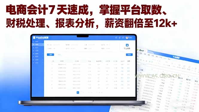 电商会计7天速成，掌握平台取数、财税处理、报表分析，薪资翻倍至12k+-A5资源网