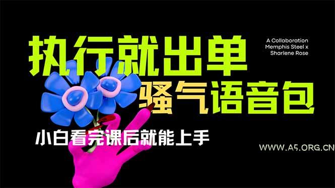 爆火全网的开车导航骚气语音包,只要执行就出单，小白看完课程就能实操...-A5资源网