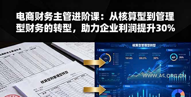 电商财务主管进阶课：从核算型到管理型财务的转型，助力企业利润提升30%-A5资源网