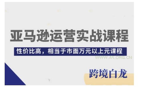 亚马逊运营实战课程，亚马逊从入门到精通，性价比高，相当于市面万元以上元课程-A5资源网