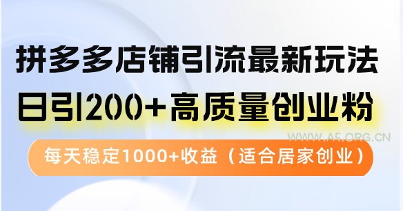 拼多多店铺引流最新玩法，日引200+高质量创业粉，每天稳定1000+收益(...-A5资源网