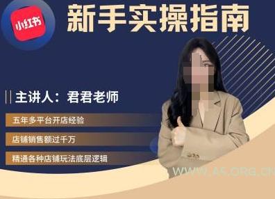 君君-小红书电商从入门到精通，新手实操指南-A5资源网
