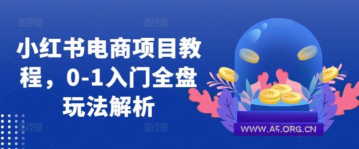 小红书电商项目教程，0-1入门全盘玩法解析-A5资源网