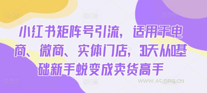 小红书矩阵号引流，适用于电商、微商、实体门店，30天从0基础新手蜕变成卖货高手-A5资源网