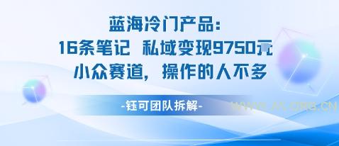 蓝海项目：16条笔记私域变现9750米小众赛道操作的人不多-A5资源网