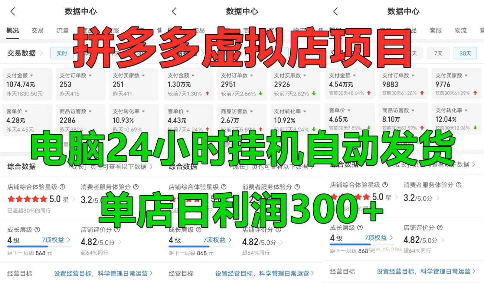 拼多多虚拟店铺项目，电脑挂机自动发货，单店日利润300+-A5资源网
