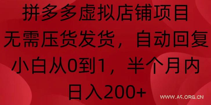 拼多多虚拟店铺项目，无需压货发货，自动回复，小白从0到1，半个月内日入200+【揭秘】-A5资源网