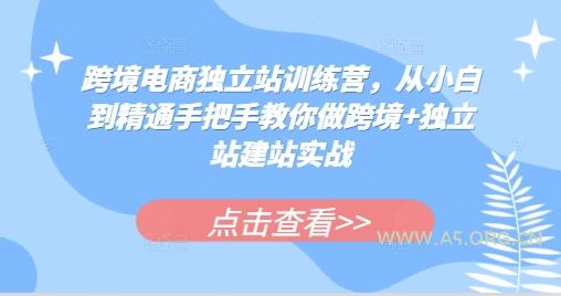 跨境电商独立站训练营，从小白到精通手把手教你做跨境+独立站建站实战-A5资源网