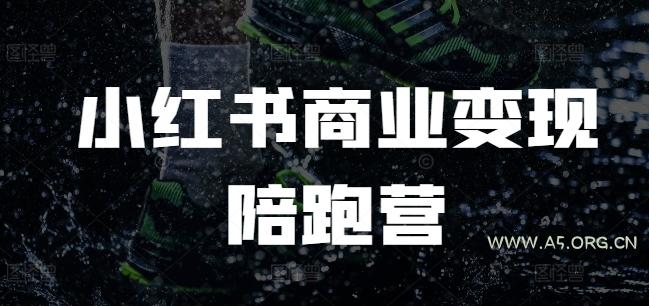 小红书商业变现陪跑营，小红书电商教程-A5资源网