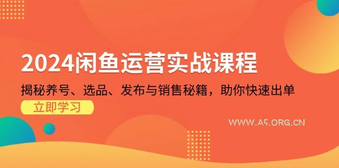 2024闲鱼运营实战课程：揭秘养号、选品、发布与销售秘籍，助你快速出单-A5资源网