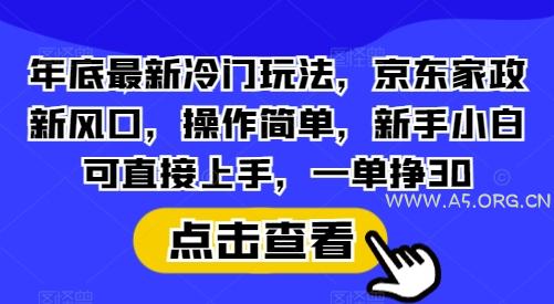 年底最新冷门玩法，京东家政新风口，操作简单，新手小白可直接上手，一单挣30【揭秘】-A5资源网