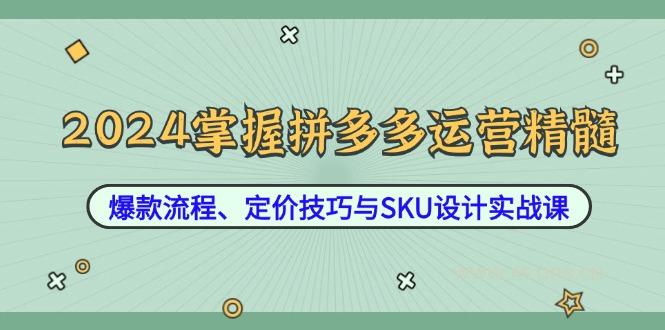 2024掌握拼多多运营精髓：爆款流程、定价技巧与SKU设计实战课-A5资源网