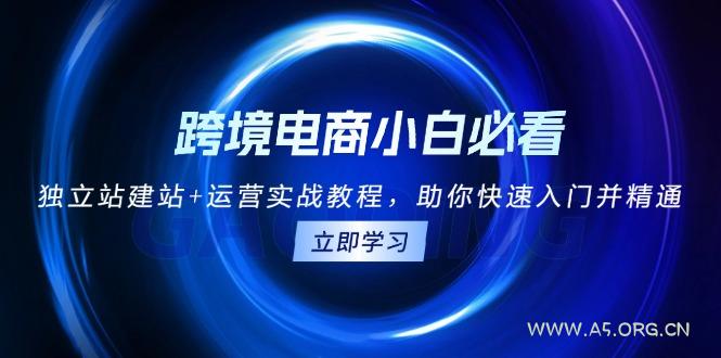 跨境电商小白必看！独立站建站+运营实战教程，助你快速入门并精通-A5资源网