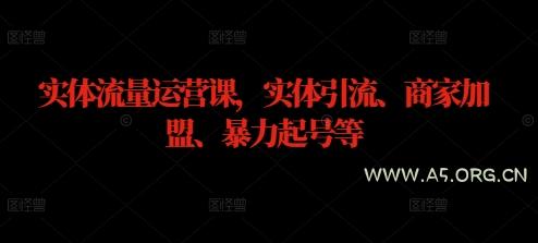 实体流量运营课，实体引流、商家加盟、暴力起号等-A5资源网