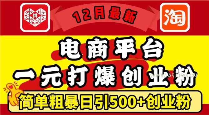 12月最新：电商平台1元打爆创业粉，简单粗暴日引500+精准创业粉，轻松月入过W【揭秘】-A5资源网