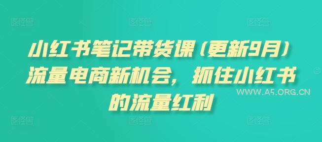 小红书笔记带货课(更新25年1月)流量电商新机会，抓住小红书的流量红利-A5资源网