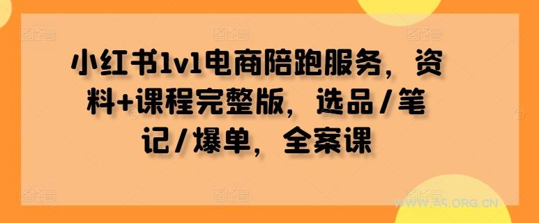 小红书1v1电商陪跑服务，资料+课程完整版，选品/笔记/爆单，全案课-A5资源网