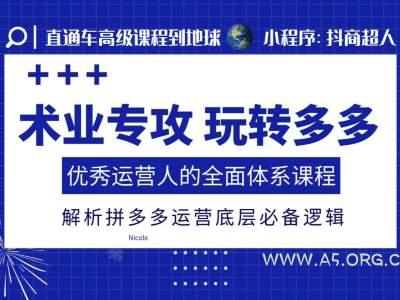 术业专攻玩转多多，优秀运营人的全面体系课程，解析拼多多运营底层必备逻辑-A5资源网