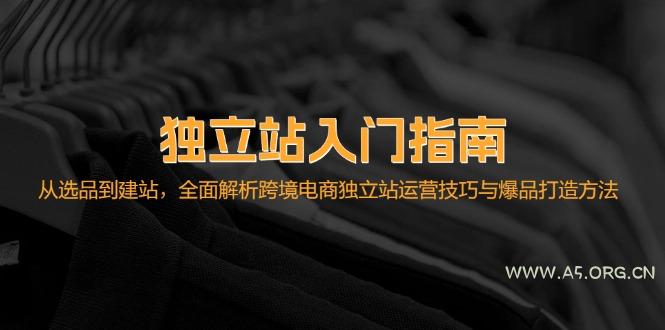 独立站入门指南：从选品到建站，全面解析跨境电商独立站运营技巧与爆品...-A5资源网