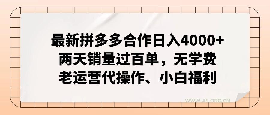 拼多多最新合作日入4000+两天销量过百单，无学费、老运营代操作、小白福利-A5资源网