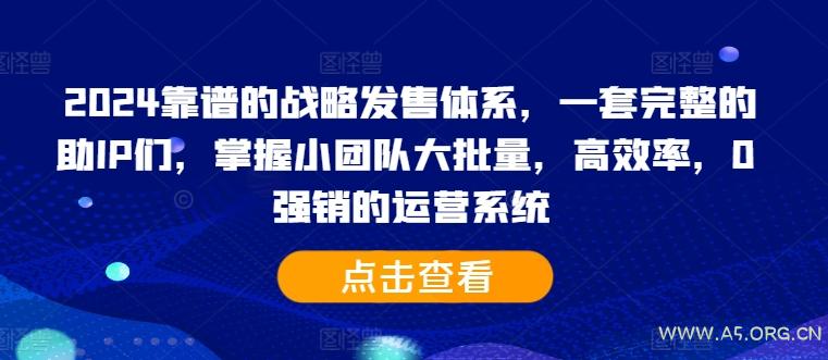 2024靠谱的战略发售体系，一套完整的助IP们，掌握小团队大批量，高效率，0 强销的运营系统-A5资源网