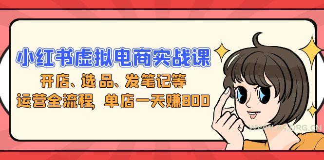 小红书虚拟电商实战课：开店、选品、发笔记等运营全流程，单店一天赚800-A5资源网