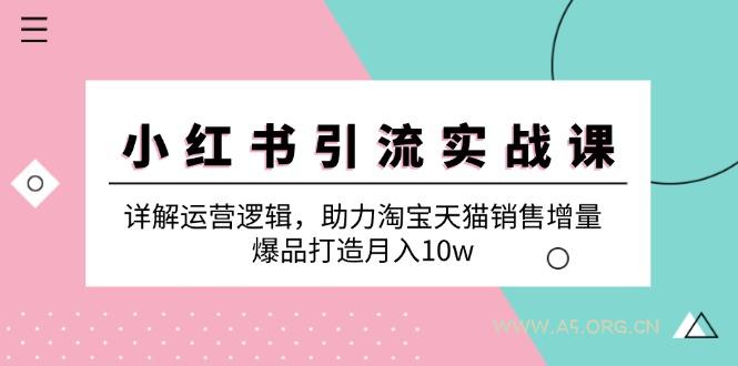 小红书引流实战课：详解运营逻辑，助力淘宝天猫销售增量，爆品打造月入10w-A5资源网