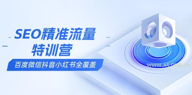 SEO精准流量特训营，百度微信抖音小红书全覆盖，带你搞懂搜索优化核心技巧-A5资源网