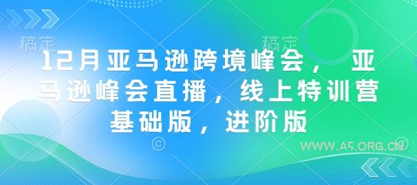 12月亚马逊跨境峰会， 亚马逊峰会直播，线上特训营基础版，进阶版-A5资源网