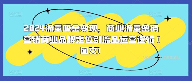 2024流量吸金变现，商业流量密码营销商业品牌定位引流品运营逻辑(图文)-A5资源网