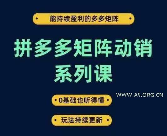 拼多多矩阵动销系列课，能持续盈利的多多矩阵，0基础也听得懂，玩法持续更新-A5资源网