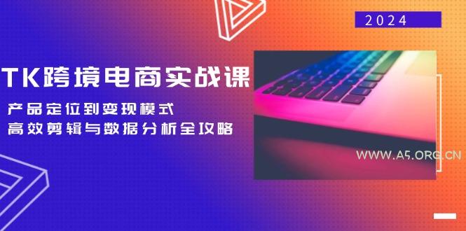 TK跨境电商实战课：产品定位到变现模式，高效剪辑与数据分析全攻略-A5资源网
