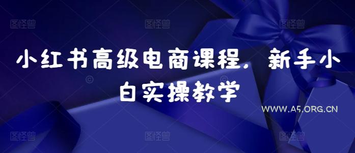 小红书高级电商课程，新手小白实操教学-A5资源网