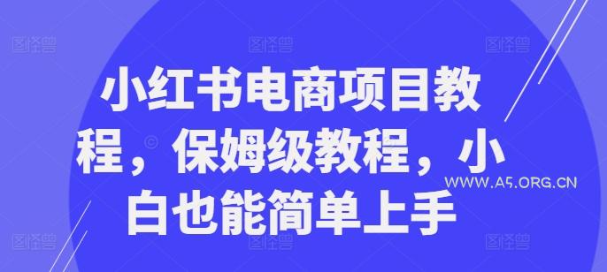 小红书电商项目教程，保姆级教程，小白也能简单上手-A5资源网