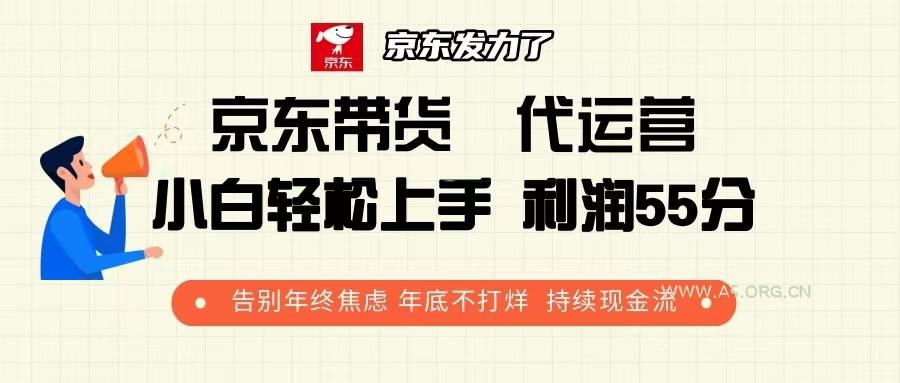 京东带货 代运营 利润55分 告别年终焦虑 年底不打烊 持续现金流-A5资源网