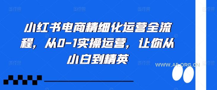 小红书电商精细化运营全流程，从0-1实操运营，让你从小白到精英-A5资源网