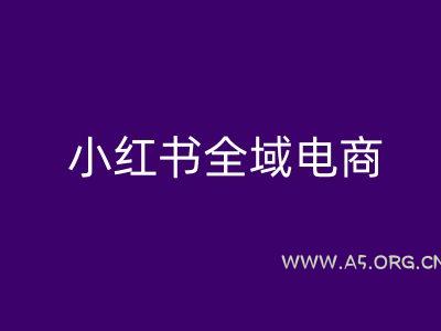 小红书全域电商，小红书电商教程-A5资源网