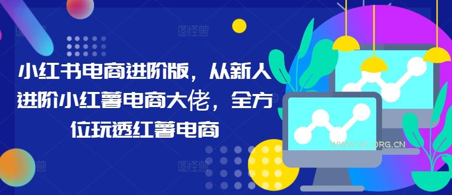 小红书电商进阶版，从新人进阶小红薯电商大佬，全方位玩透红薯电商-A5资源网
