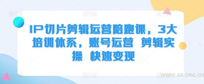 IP切片剪辑运营陪跑课，3大培训体系，账号运营 剪辑实操 快速变现-A5资源网