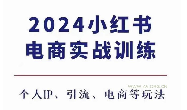 2024小红书电商3.0实战训练，包含个人IP、引流、电商等玩法-A5资源网