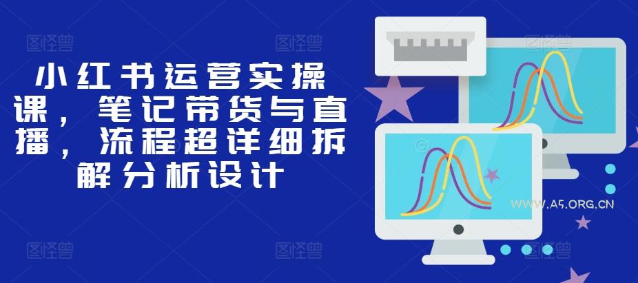 小红书运营实操课，笔记带货与直播，流程超详细拆解分析设计-A5资源网