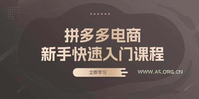 拼多多电商新手快速入门课程：涵盖基础、实战与选款，助力小白轻松上手-A5资源网