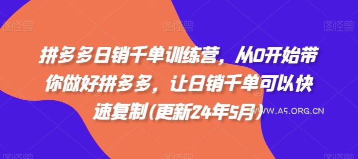 拼多多日销千单训练营，从0开始带你做好拼多多，让日销千单可以快速复制(更新24年8月)-A5资源网