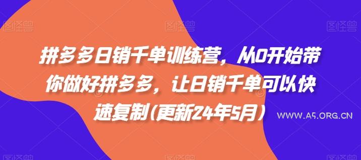 拼多多日销千单训练营，从0开始带你做好拼多多，让日销千单可以快速复制(更新24年10月)-A5资源网