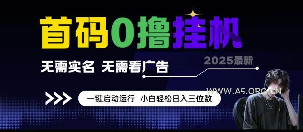 首码0撸挂G项目，无需实名无需看广告 一键启动运行，小白轻松日入三位数【揭秘】-A5资源网