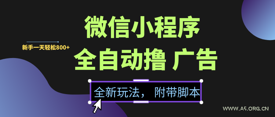 微信小程序挂机撸广告，全新玩法，新手一天轻松800+【附带脚本】-A5资源网